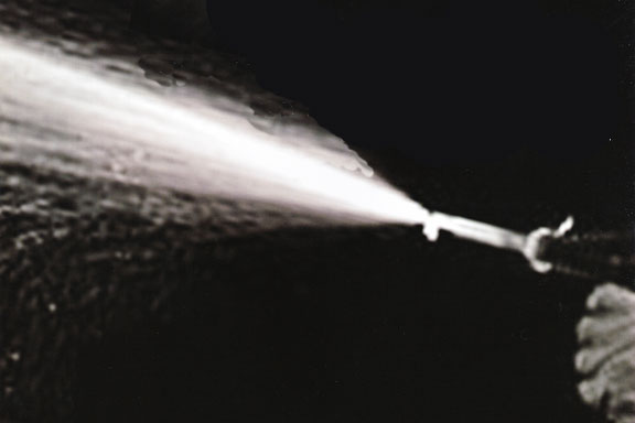 害虫駆除イメージ